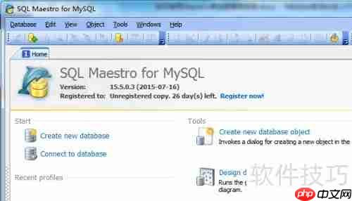 Maestro导出HTML格式数据库表报告的方法
