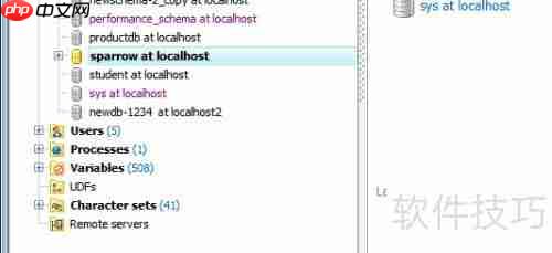 Maestro导出HTML格式数据库表报告的方法