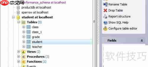 Maestro导出HTML格式数据库表报告的方法