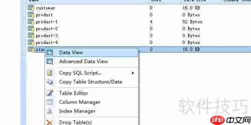DBe Master生成数据库表WORD报表的方法