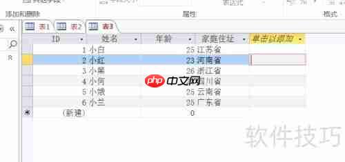 Access数据库入门：设置字体格式教程
