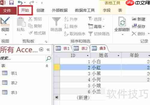 Access数据库入门：设置字体格式教程