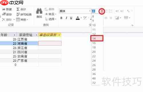 Access数据库入门：设置字体格式教程
