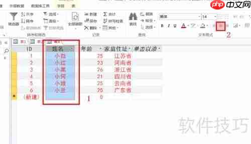 Access数据库入门：设置字体格式教程