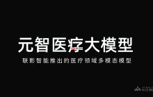 元智医疗大模型— 联影智能推出的医疗领域多模态模型