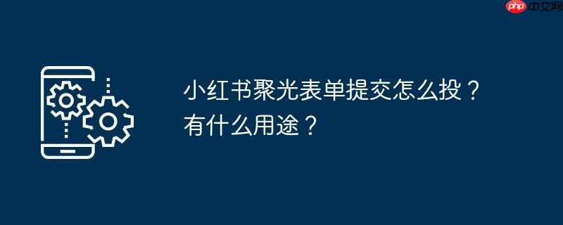 小红书聚光表单提交怎么投？有什么用途？