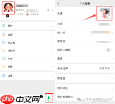 微信头像换不了怎么办