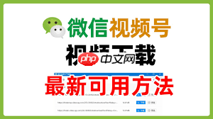 如何下载微信视频号视频