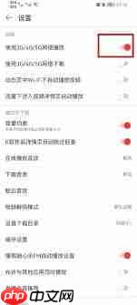 网易云音乐怎么开启流量播放