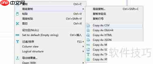 DBeaver将数据库表记录复制为SQL格式的方法