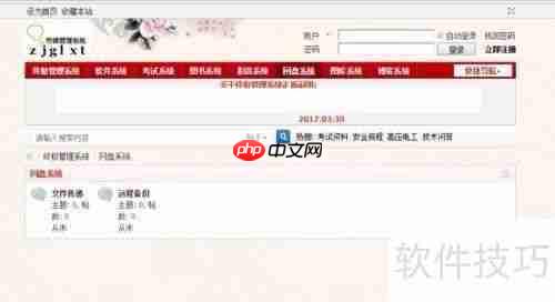 终极管理系统:操作指南与技巧
