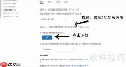 彻底卸载Office：详细步骤指南