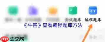 牛客编程题位置在哪