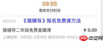 猿辅导如何报名网课