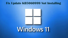 Aktualisieren Sie nicht das Update KB5060999 nicht auf Windows 11 installieren?