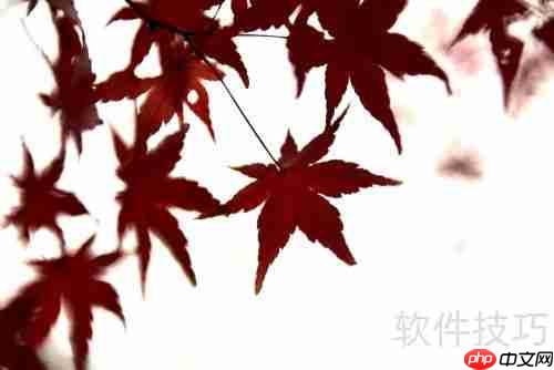 掌握这些技巧，拍出最美的红枫大片