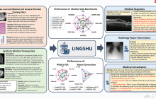 Lingshu— 阿里推出的医疗多模态语言模型