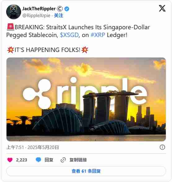 Ripple USD（RLUSD）稳定币：为机构数字金融开辟道路