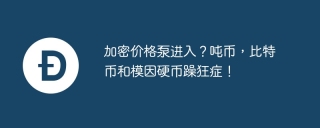加密价格泵进入?吨币,比特币和模因硬币躁狂症!