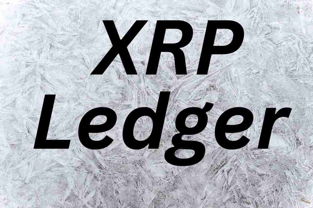 XRP分类帐，验证者和持有人：导航数字融资的未来