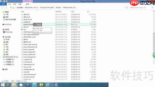 Adobe软件安装与激活教程