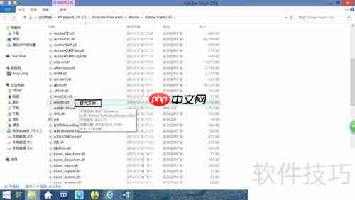 Adobe软件安装与激活教程
