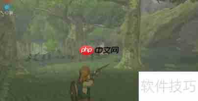 塞尔达传说:荒野之息电脑版玩法教程