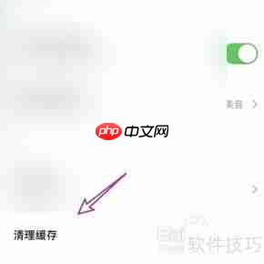 如何清理金山词霸的缓存数据