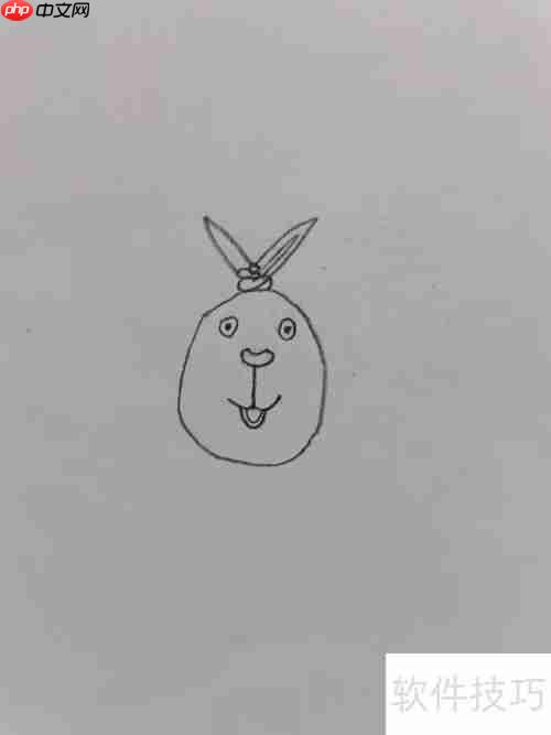 越狱兔：简单又可爱的兔子画法教程