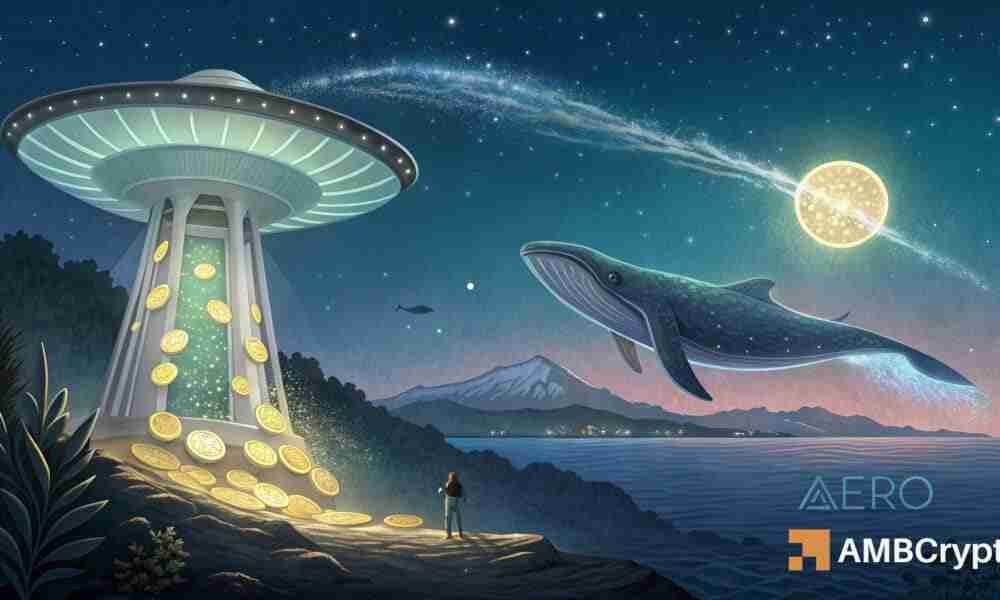 航空信号,交易目标和市场新闻:鲸鱼活动激发乐观