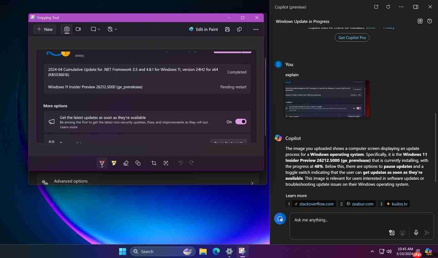 Windows 11 截图工具隐藏 Bing 搜索特性