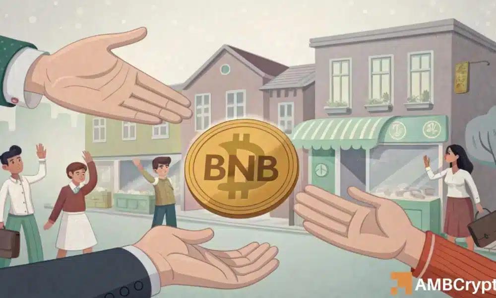BNB的价格下跌和日常活动：有什么交易？
