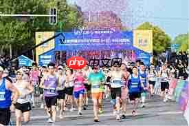 点点运动如何约跑