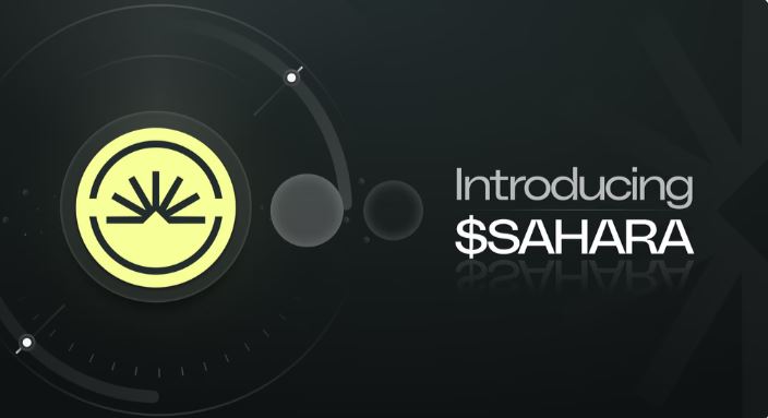 什么是Sahara AI代币(SAHARA)?SAHARA代币分配及解锁时间表介绍