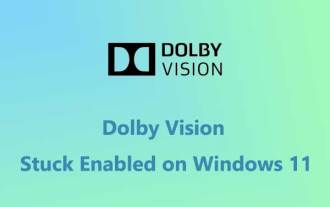 Bug Solved - Dolby Vision Stuck Enabled on Windows 11