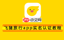 飛豬如何進行實名認(rèn)證