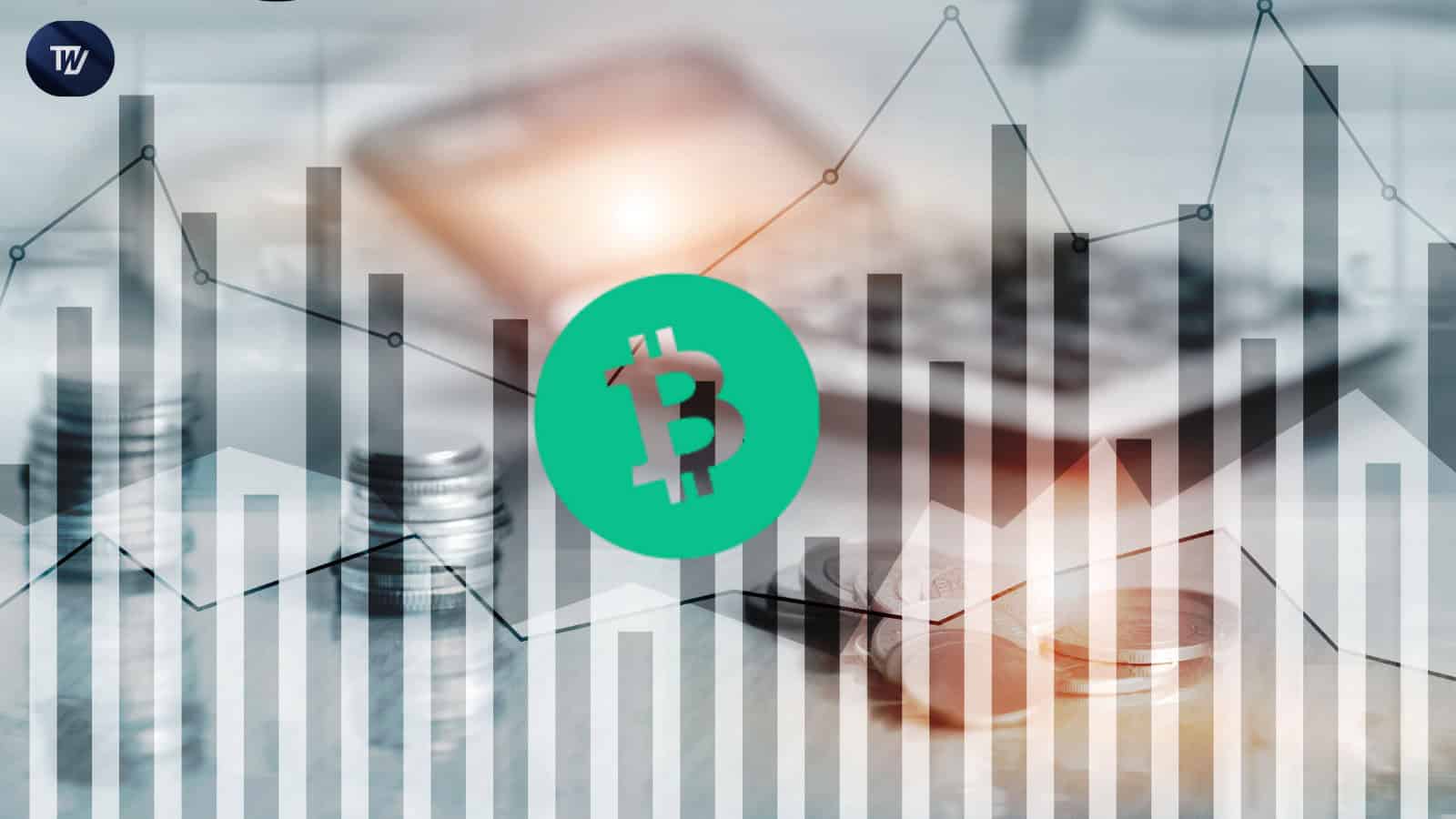 比特币现金(BCH):爆炸性的动作还是假黎明?