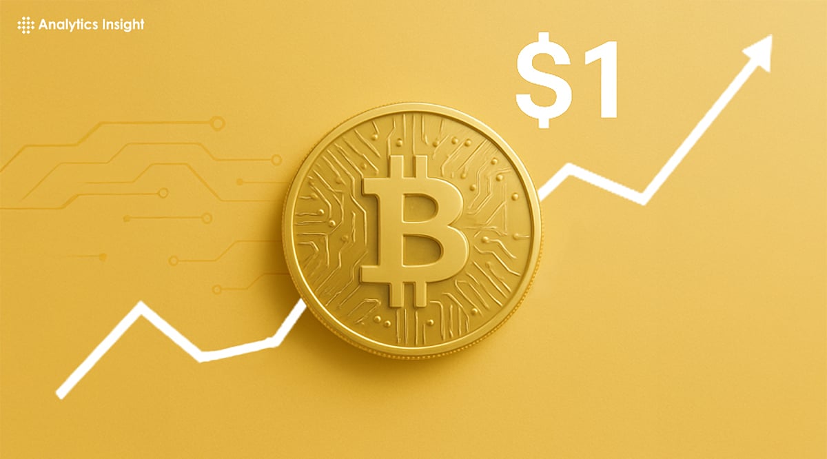 2025年的加密货币：揭开具有高回报潜力的山寨币