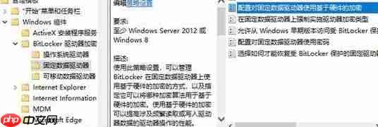 Win10系统开启BitLocker软件加密的设置方法