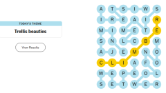 Today's NYT Strands Puzzle: Hints, Spangram And Answers For Monday, June 30th