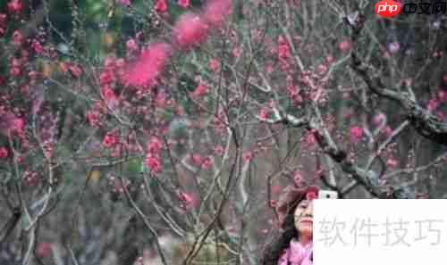 白云山旅游区：一份详尽的旅行指南