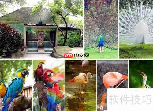 白云山旅游区：一份详尽的旅行指南