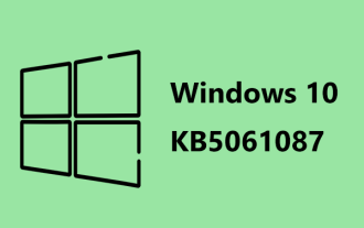 Windows 10 KB5061087上的聚光燈和不安裝的修復程序