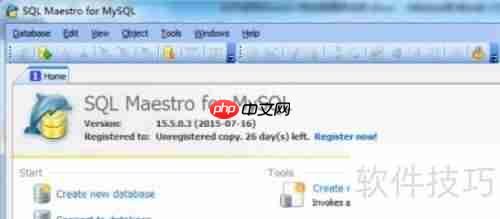 Maestro导出HTML格式的数据库表报告