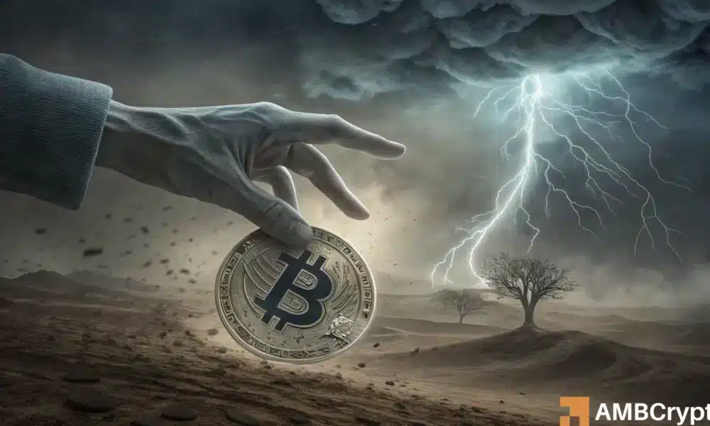 比特币和加密价格运动:在复杂市场中导航波动