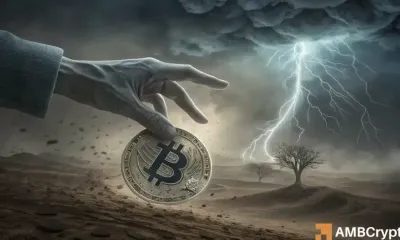 比特币和加密价格运动：在复杂市场中导航波动