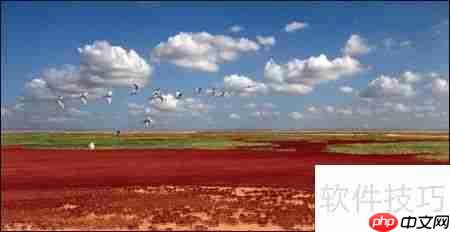 黄河口生态旅游区：探索自然之美与野生禽鸟天堂