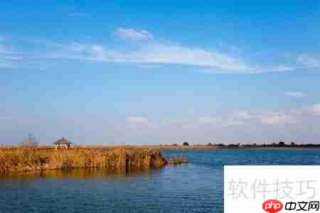 黄河口生态旅游区：探索自然之美与野生禽鸟天堂