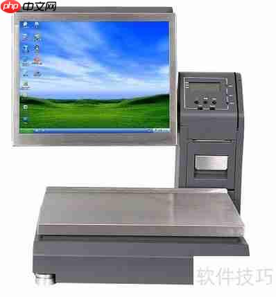 零食店收银一体称：提升效率的新选择