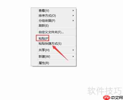 PS补丁使用教程：快速上手指南